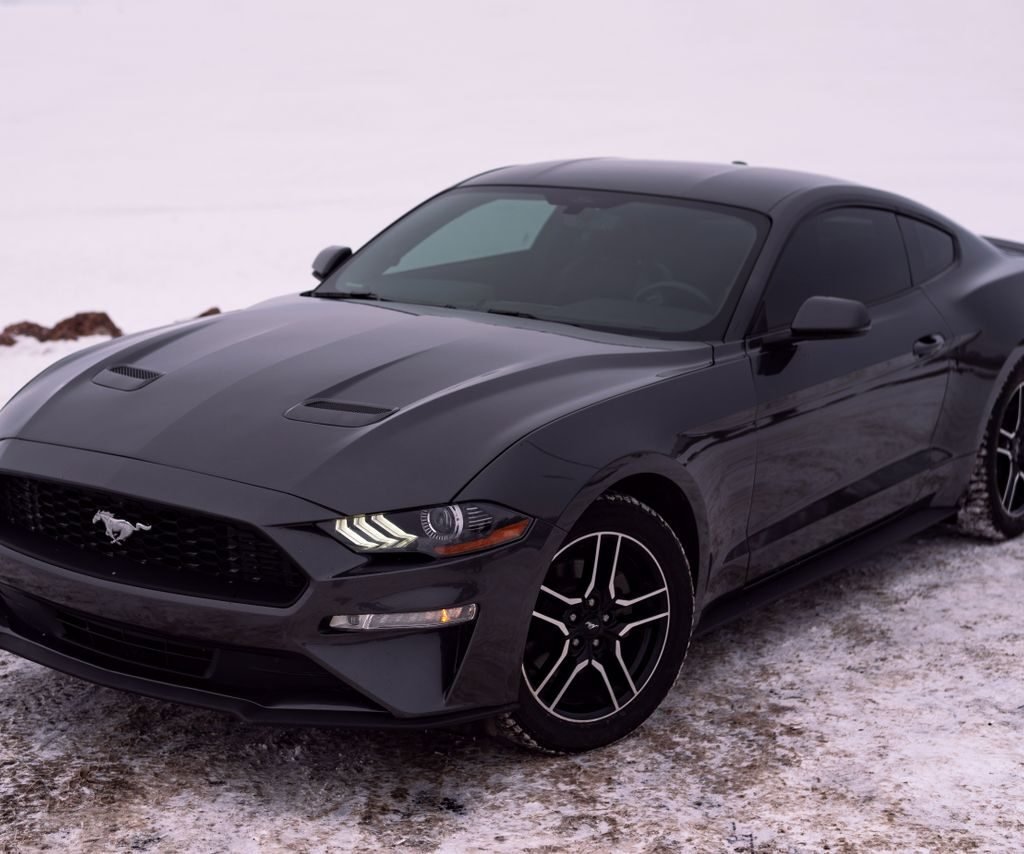 Sleek black Ford Mustang parked on a snowy landscape, showcasing winter automotive style.